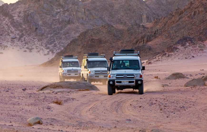 Hurghada: Family Safari Quad, Jeep, Bedouin life, Dinner and show