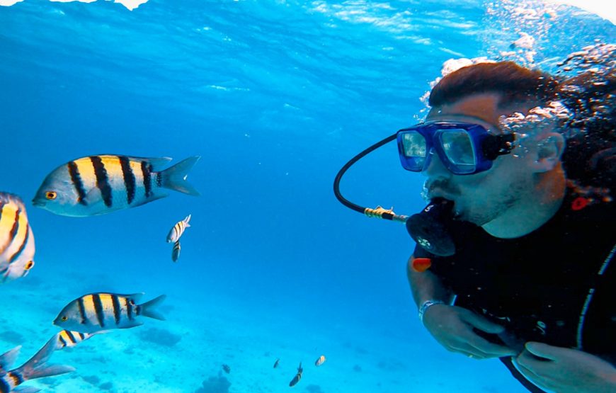 Hurghada: Intro Diving Trip, Snorkeling and Lunch