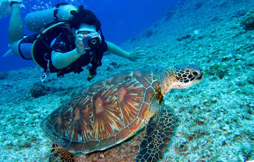 Hurghada: Professional Diving open water with lunch