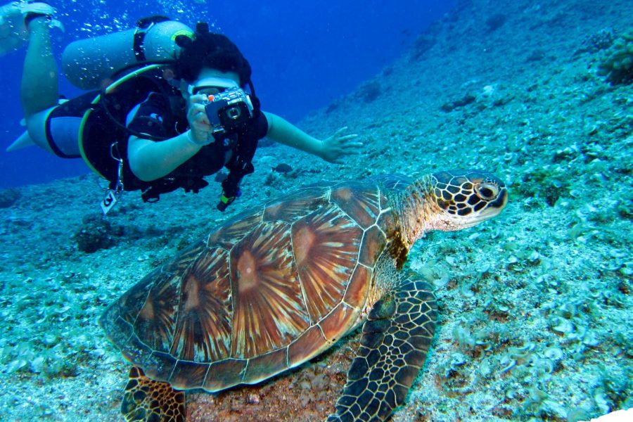 Hurghada: Professional Diving open water with lunch