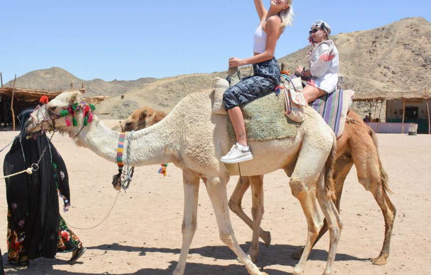 Hurghada: Family Safari Quad, Jeep, Bedouin life, Dinner and show