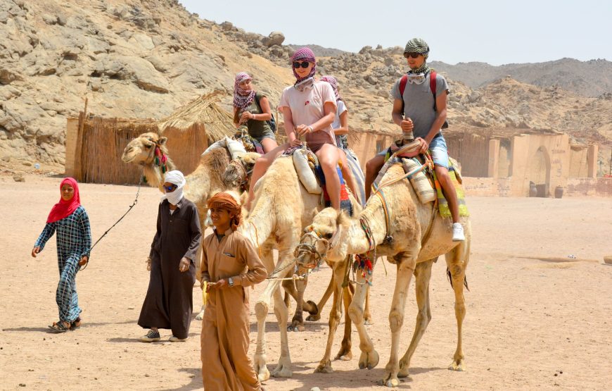 Hurghada: Family Safari Quad, Jeep, Bedouin life, Dinner and show