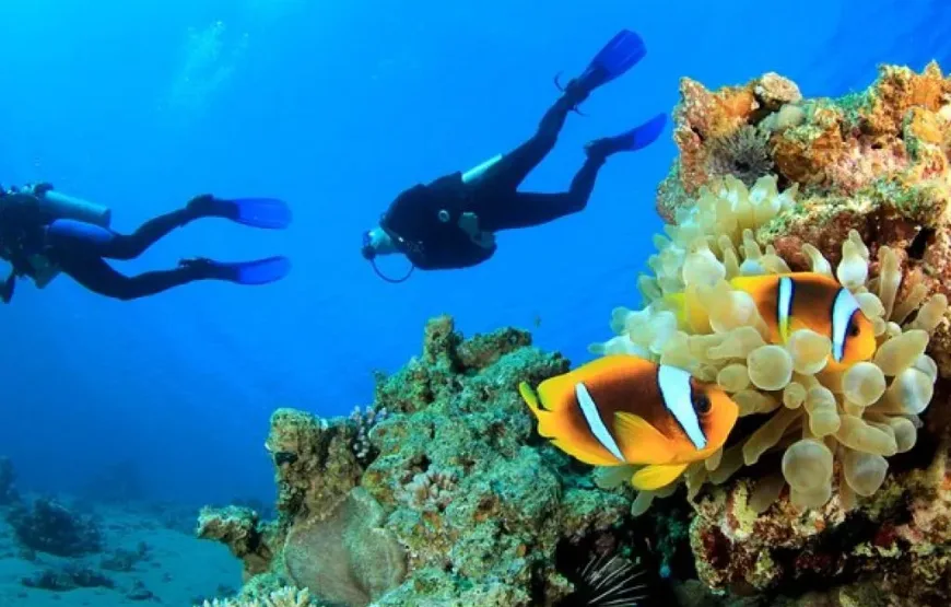 Hurghada: Professional Diving open water with lunch