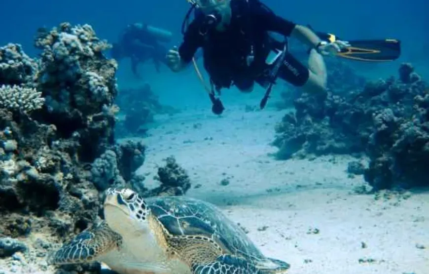 Hurghada: Professional Diving open water with lunch