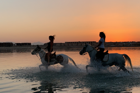 Buggy Tour Hurghada the best of viva