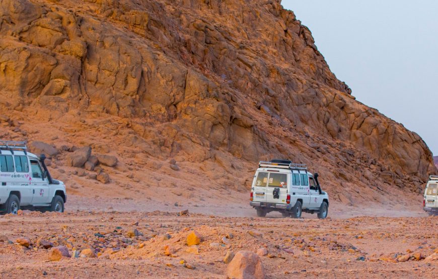Hurghada: Super Safari by Quad – Ultimate Desert Adventure in Egypt