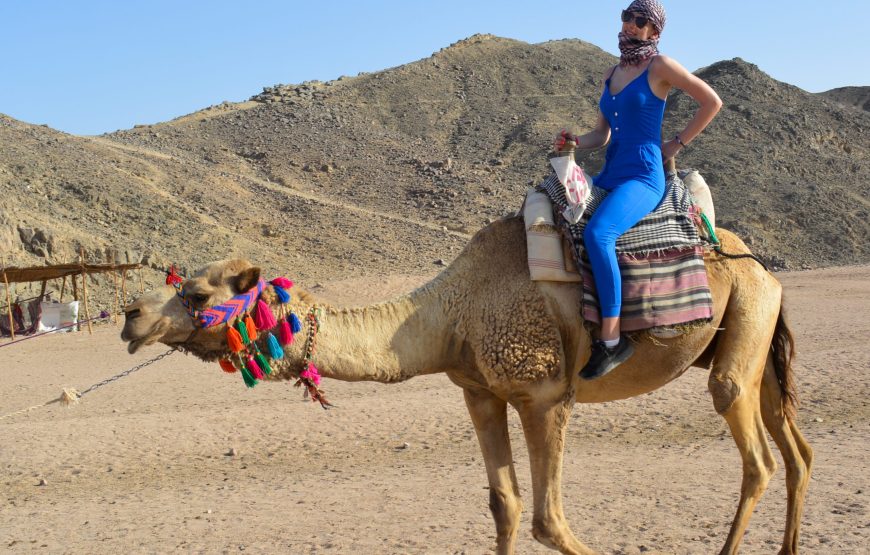 Hurghada: Explore the Desert in 3-Hour Quad Safari Adventure
