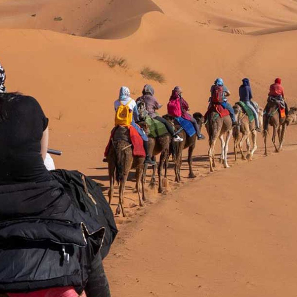 Sahara Trips and Sahara Egypt Trips