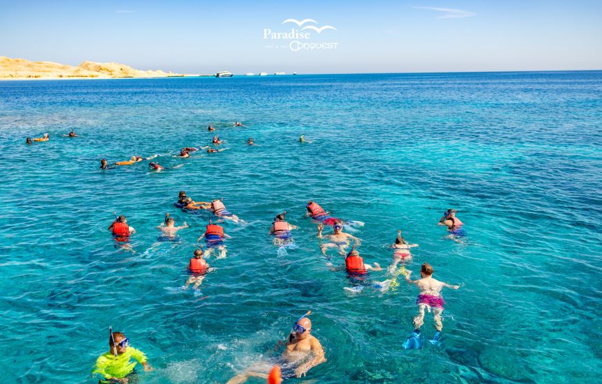Dolphin House: Swim with Dolphins & Lunch