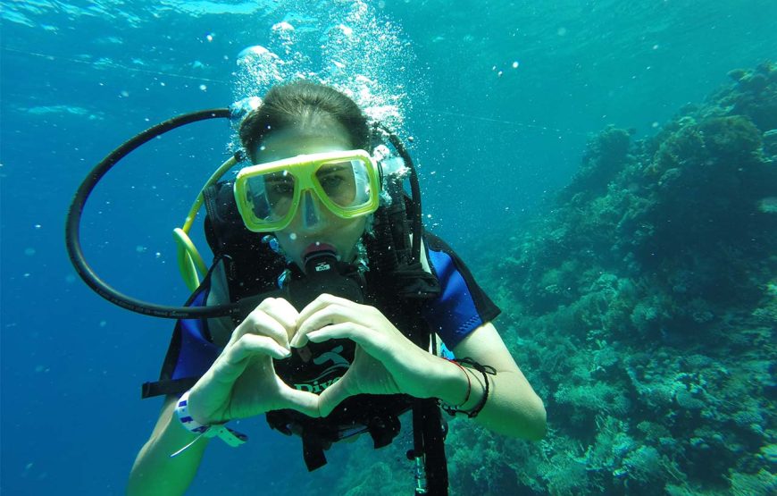 Hurghada: Diving trip with Island, Snorkeling and lunch on boat