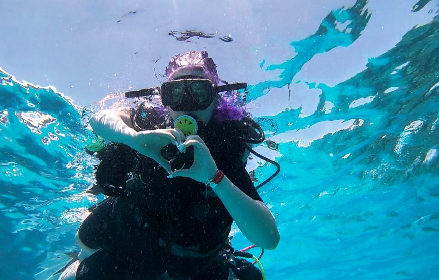 Hurghada: Diving trip with Island, Snorkeling and lunch on boat