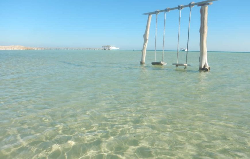 Hurghada: Diving trip with Island, Snorkeling and lunch on boat