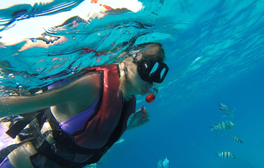 Hurghada: Snorkeling trip in Red Sae
