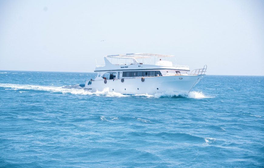 Hurghada: Snorkeling trip in Red Sae