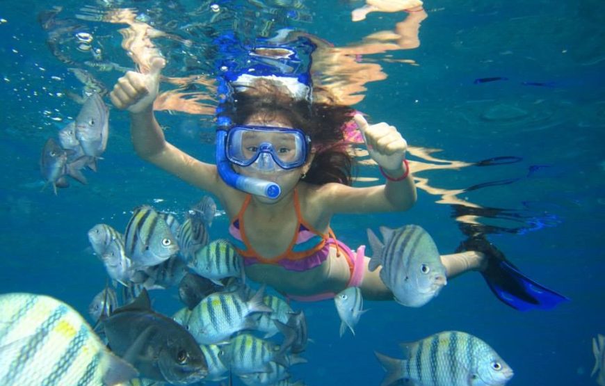 Hurghada: Snorkeling trip in Red Sae