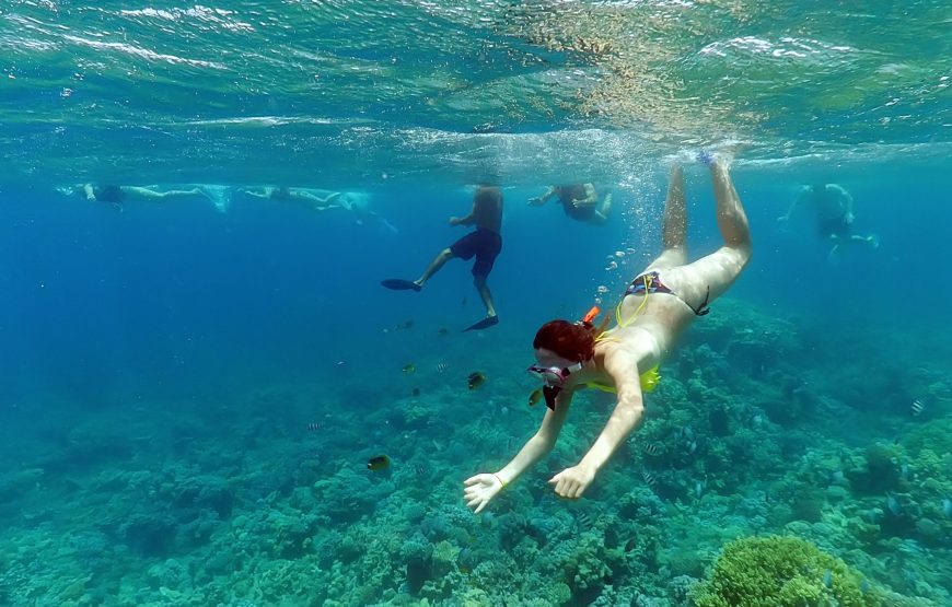 Hurghada: Snorkeling trip in Red Sae